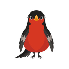 Bullfinch bird vector Illustration on a white background