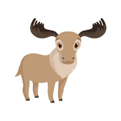 Cute deer animal cartoon character vector Illustration
