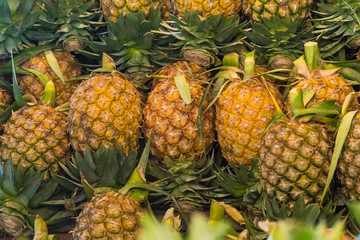 Close up of pineapple in market at Bangkok, Thailand.