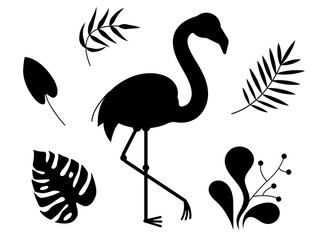Silhouettes of african birds of flamingos and tropical leaves. Flora and fauna. Vector isolated objects on white background.