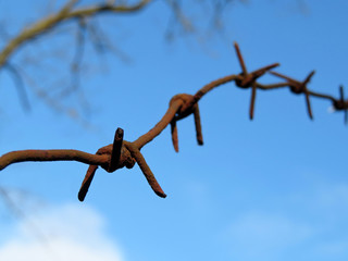 Rusty barbed wire against blue sky with clouds and bare branches. Concept of boundary, prison, immigration or last war