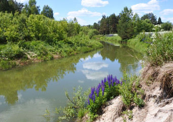 Landscape. A small river.