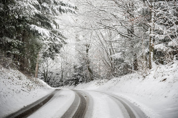 Obraz premium Road with trees and snow