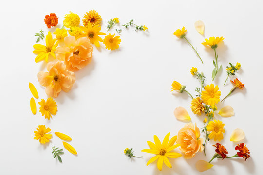 Yellow And Orange Flowers On White Background