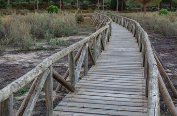 Wide angle of wooden footbridge track over dry wetlands