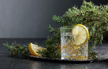 Gin , tonic with slices of lemon and a sprig of juniper .