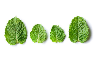 Fresh mint leaves, isolated on white background