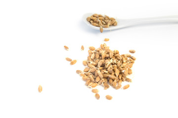 Sprouted wheat on a light background. toned