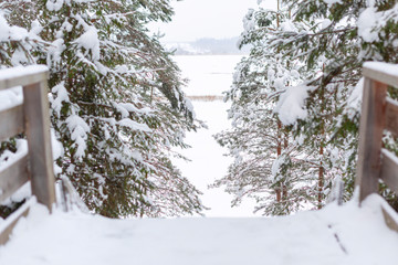 winter snow slope in forest