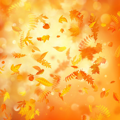 Fototapeta na wymiar Autumn background with natural leaves and bright sunlight. EPS 10