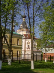 Tree Plant Architecture built structure building exterior Nature day Place of worship sky religion Low angle view 