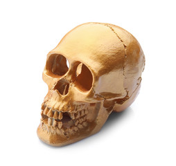 Obraz premium Golden human skull on white background