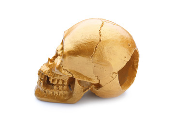 Golden human skull on white background