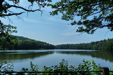 Fototapeta na wymiar Konopiste Lake, Czech Republic