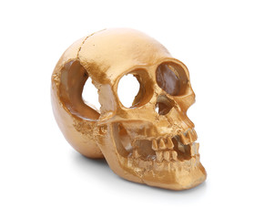 Golden human skull on white background
