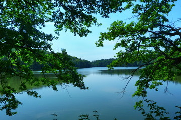 Fototapeta na wymiar Konopiste Lake, Czech Republic