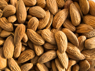 Fototapeta premium almond nuts closeup