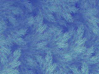 Obraz premium Blue green branches of a fur-tree, spruce or pine with copyspace. EPS 10