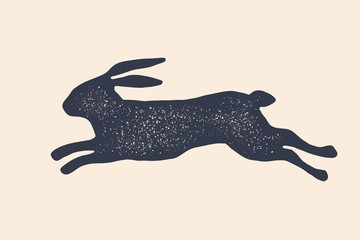 Rabbit, hare, silhouette. Vintage logo, retro print, poster © foxysgraphic