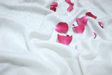 Blurred  red rose corollas on a white wrinkled bedsheet for Valentine's Day concept 