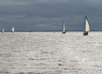 Obraz premium Yachts sailing with the wind on open sea