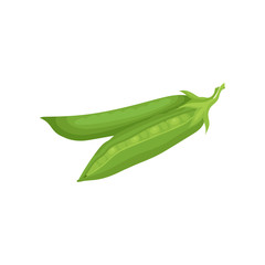 Flat vector icon of two pods of ripe green peas. Organic farm product. Raw vegetable. Cooking ingredient. Natural food