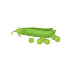 Flat vector icon of open pod and ripe green peas. Natural and healthy food. Organic vegetable. Agricultural crop