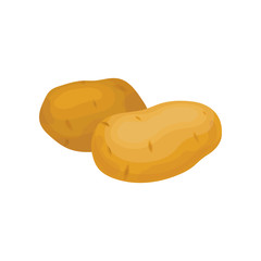 Two unpeeled potatoes. Organic farm product. Cooking ingredient. Fresh vegetable. Natural food. Flat vector icon