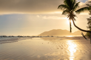 Beautiful sunrise over the tropical beach in Caribbean island.