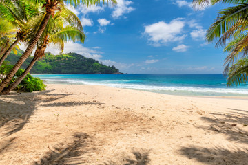 Naklejka na ściany i meble Tropical sandy beach with palms and turquoise sea in Seychelles island. 