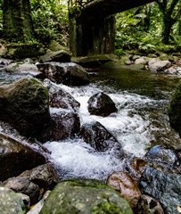 Saint Vincent and the Grenadines, Vermont trail river