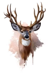 Gordijnen Deer with spreading antlers watercolor painting © Kajenna