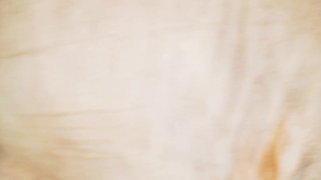 Traditional noodle factory use bull rotate heavy stone cylinder to grind flour Bantul, Yogyakarta, Indonesia