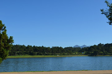 Vietnam. landscape with lake and trees