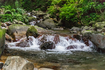 Saint Vincent and the Grenadines, Vermont trail river