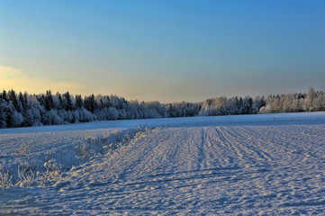 Fototapeta na wymiar snow covered winter field
