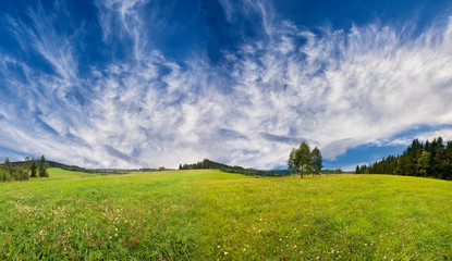 green fresh spring meadow - panoramic picture