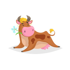 Cartoon red spotted lying cow. Farm funny animal chewing flower and relaxing. Isolated on white background. Flat trendy style. Vector illustration.
