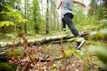 Naklejka na ściany i meble Back view of young sportsman running over log on the forest path while training in the morning