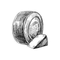 Beautiful vector hand drawn Cheese Illustration.