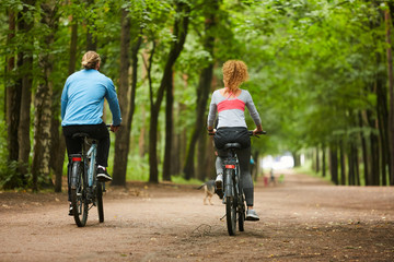 Fototapeta premium Back view of young active couple sitting on bicycles and riding along long road between green trees