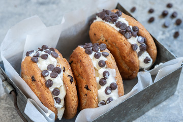 Chocolate Chip Ice Cream Cookie Sandwiches