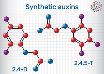trichlorophenoxyacetic acid (2,4,5-T) molecule. Synthetic auxin. Molecule model. Sheet of paper in a cage