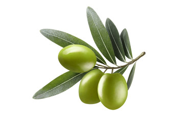 Olive branch with green olives, isolated on white background