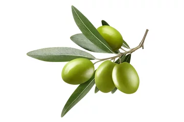 Poster Olijftak met groene olijven, geïsoleerd op witte achtergrond © Yeti Studio