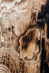 burnt dark detailed wooden texture close up