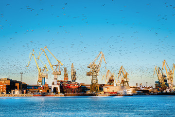 Obraz premium View of the sea port-cranes and many flying seagulls over the water