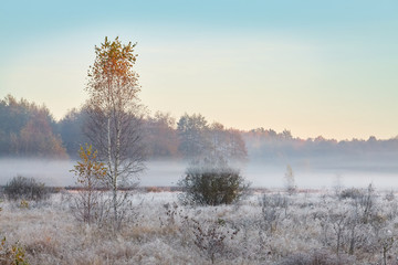 Scenic and tender landscape with sunrise at frosty autumn morning