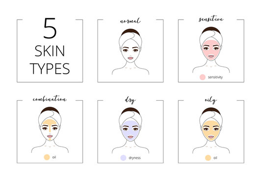 Skin types, normal, oily, combination, dry and sensitive types. Beautiful girl, isolated on white background, line style vector illustration.
