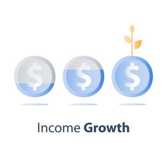 Financial value steady growth, long term investment strategy, asset allocation, revenue increase, mutual fund interest rate